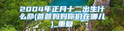 2004年正月十二出生什么命(爸爸妈妈你们在哪儿)_重复