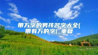 带万字的男孩名字大全(带有万的字)_重复