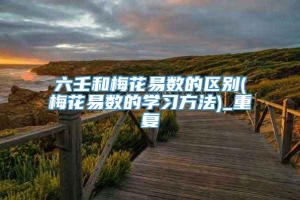 六壬和梅花易数的区别(梅花易数的学习方法)_重复