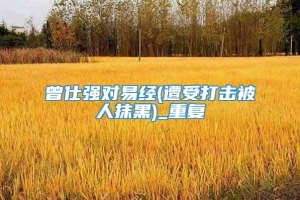 曾仕强对易经(遭受打击被人抹黑)_重复