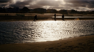 梦到老鹰(梦见老鹰是怎么回事)