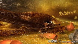 八字财富等级划分(通过八字查一查你一生到底有多少财富)