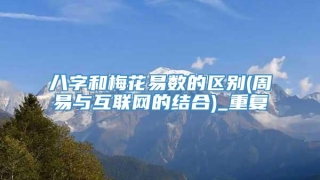 八字和梅花易数的区别(周易与互联网的结合)_重复