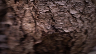 真正读懂易经的三个人(易经的三个作者是谁)