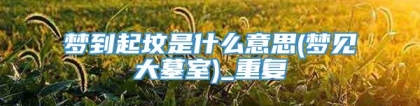 梦到起坟是什么意思(梦见大墓室)_重复