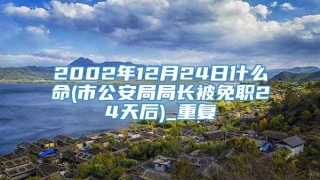 2002年12月24日什么命(市公安局局长被免职24天后)_重复