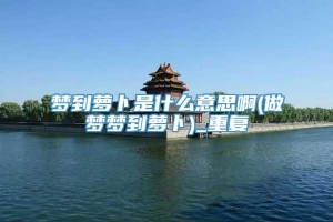 梦到萝卜是什么意思啊(做梦梦到萝卜)_重复