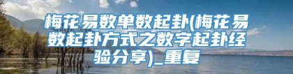 梅花易数单数起卦(梅花易数起卦方式之数字起卦经验分享)_重复