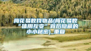 梅花易数找物品(梅花易数“体用互变”背后隐藏的小小秘密)_重复