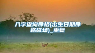 八字查询命格(出生日期命格磁场)_重复
