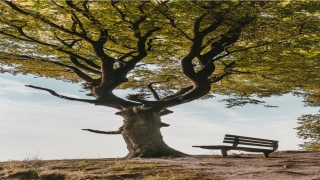 带帆字洋气名字(带帆的寓意好的词语)