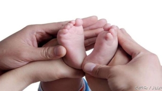 八字的伤官正财是什么意思(八字中的伤官具体指什么)