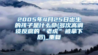 2005年4月25日出生的孩子是什么命(多次高调谈反腐的“老虎”被拿下后)_重复
