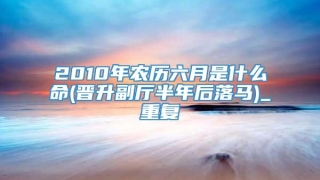 2010年农历六月是什么命(晋升副厅半年后落马)_重复