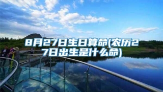 8月27日生日算命(农历27日出生是什么命)