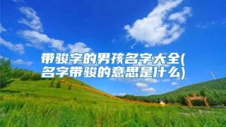带骏字的男孩名字大全(名字带骏的意思是什么)