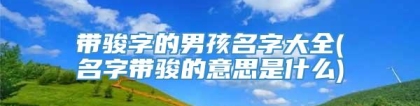 带骏字的男孩名字大全(名字带骏的意思是什么)