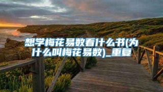 想学梅花易数看什么书(为什么叫梅花易数)_重复