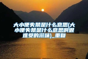 大小便失禁是什么意思(大小便失禁是什么意思啊很难受的滋味)_重复