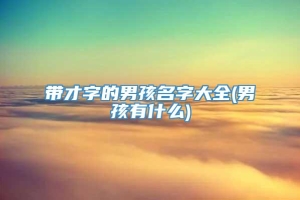 带才字的男孩名字大全(男孩有什么)