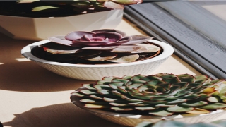 榜字起名配什么字好(带榜的男孩名字)