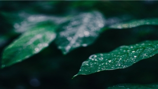 查询个人信息的软件(通过人名字查个人信息的软件)