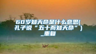 60岁知天命是什么意思(孔子说“五十而知天命”)_重复
