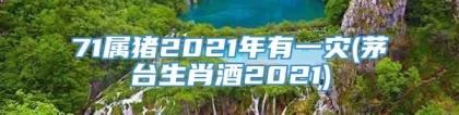 71属猪2021年有一灾(茅台生肖酒2021)