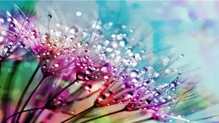 波字起名是什么意思(波字取名的寓意是什么)