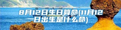 8月12日生日算命(11月12日出生是什么命)