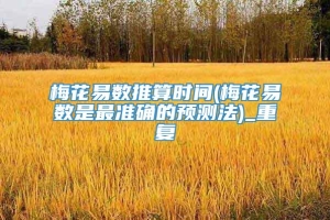 梅花易数推算时间(梅花易数是最准确的预测法)_重复