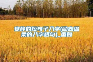 安静的短句子八字(励志温柔的八字短句)_重复