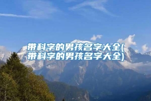 带科字的男孩名字大全(带科字的男孩名字大全)