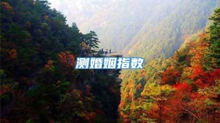 测婚姻指数