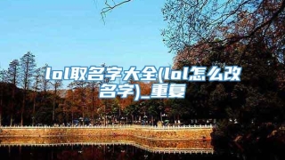lol取名字大全(lol怎么改名字)_重复