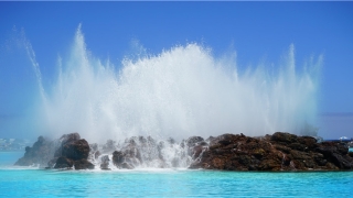 铂字起名是什么意思(取名什么意思)