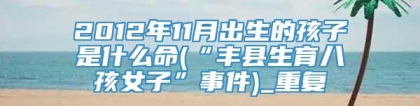 2012年11月出生的孩子是什么命(“丰县生育八孩女子”事件)_重复