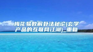 梅花易数解卦法秘论(玄学产品的互联网江湖)_重复