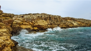 20年属什么(2020年10.24事业单位)_重复