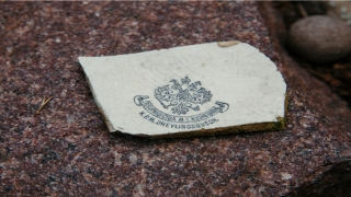 34岁的人2021年事业如何呢(2021年34岁属什么)_重复