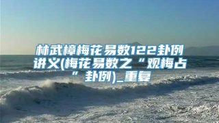 林武樟梅花易数122卦例讲义(梅花易数之“观梅占”卦例)_重复