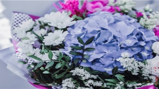 2021称骨算命对照表(五分钟就学会的八字称骨算命法)_重复