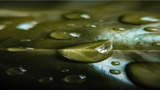 带宝字的男孩名字(带宝字的男孩名字)