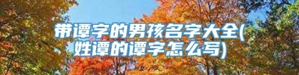 带谭字的男孩名字大全(姓谭的谭字怎么写)