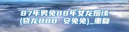 87年男兔88年女龙姻缘(骁龙888 安兔兔)_重复