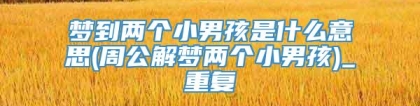 梦到两个小男孩是什么意思(周公解梦两个小男孩)_重复