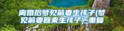 离婚后梦见前妻生孩子(梦见前妻回来生孩子)_重复