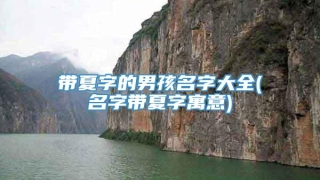 带夏字的男孩名字大全(名字带夏字寓意)