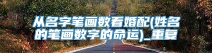 从名字笔画数看婚配(姓名的笔画数字的命运)_重复
