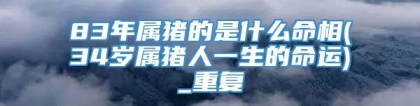 83年属猪的是什么命相(34岁属猪人一生的命运)_重复